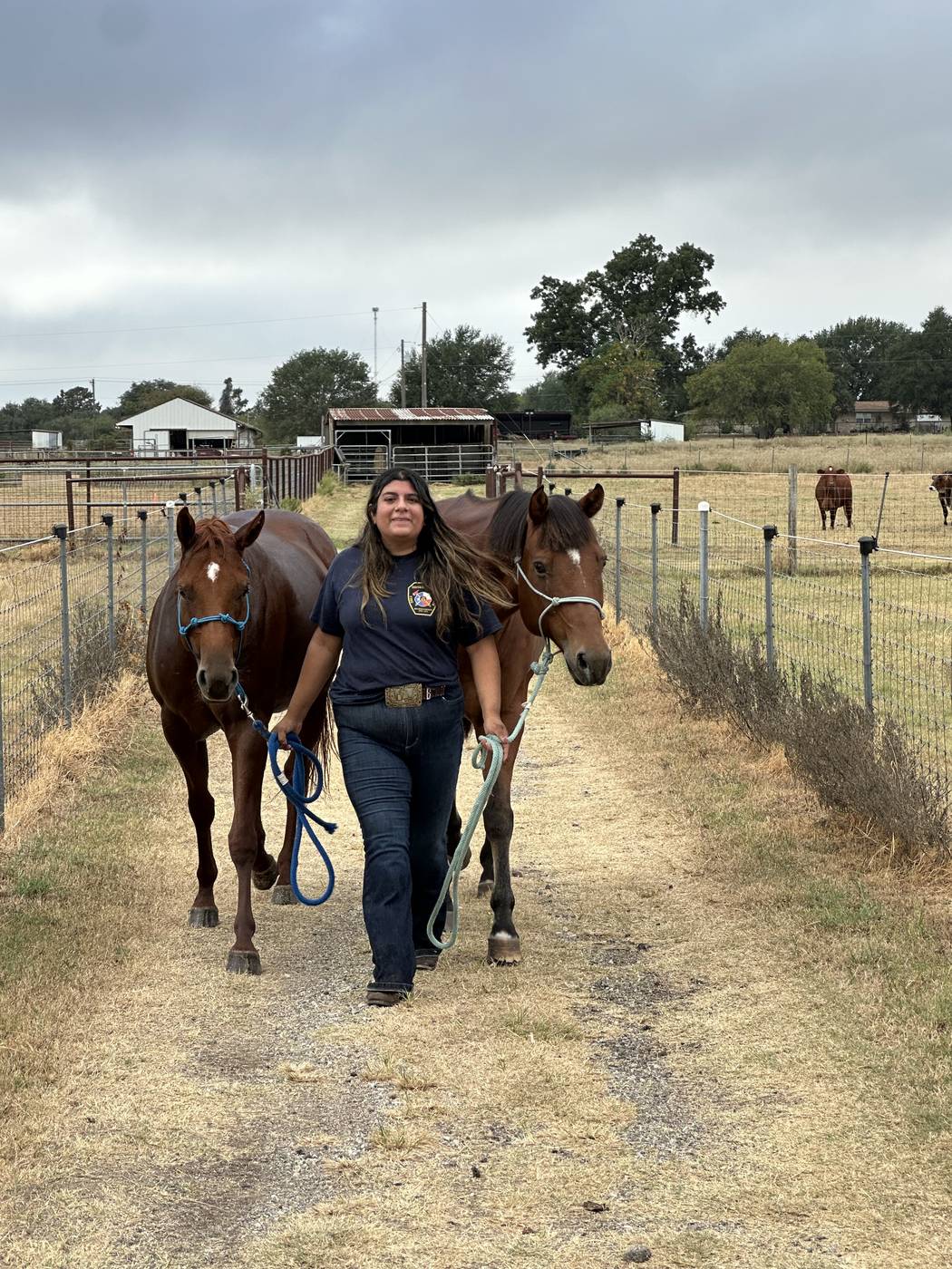 Person leading two horses across a dry Central Texas pasture in groundwork practice