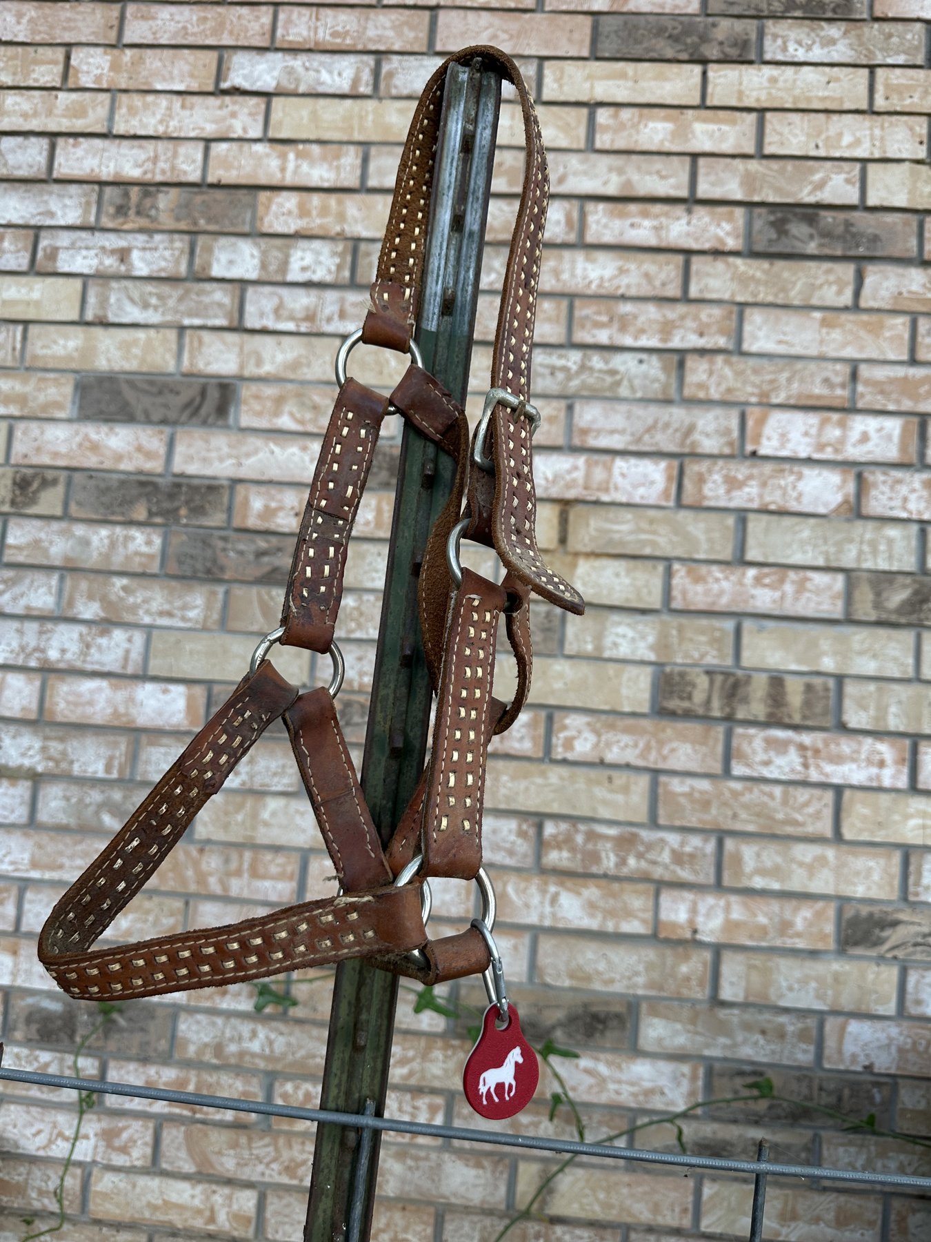 Smart Tag clipped to a halter hanging in storage